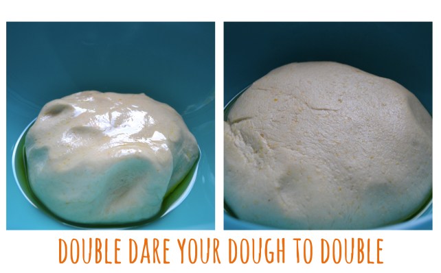 Chicago Style Pizza Dough 4