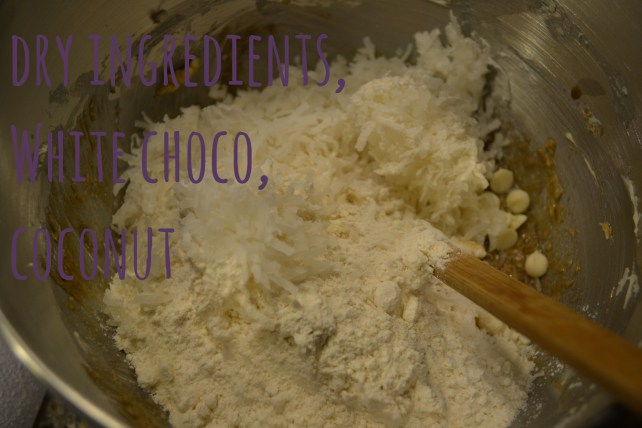 blondies_dry_wchoc_coco